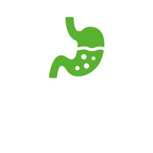 Nhóm Tiêu hóa Bài tiết - Digestive & Excretory Group